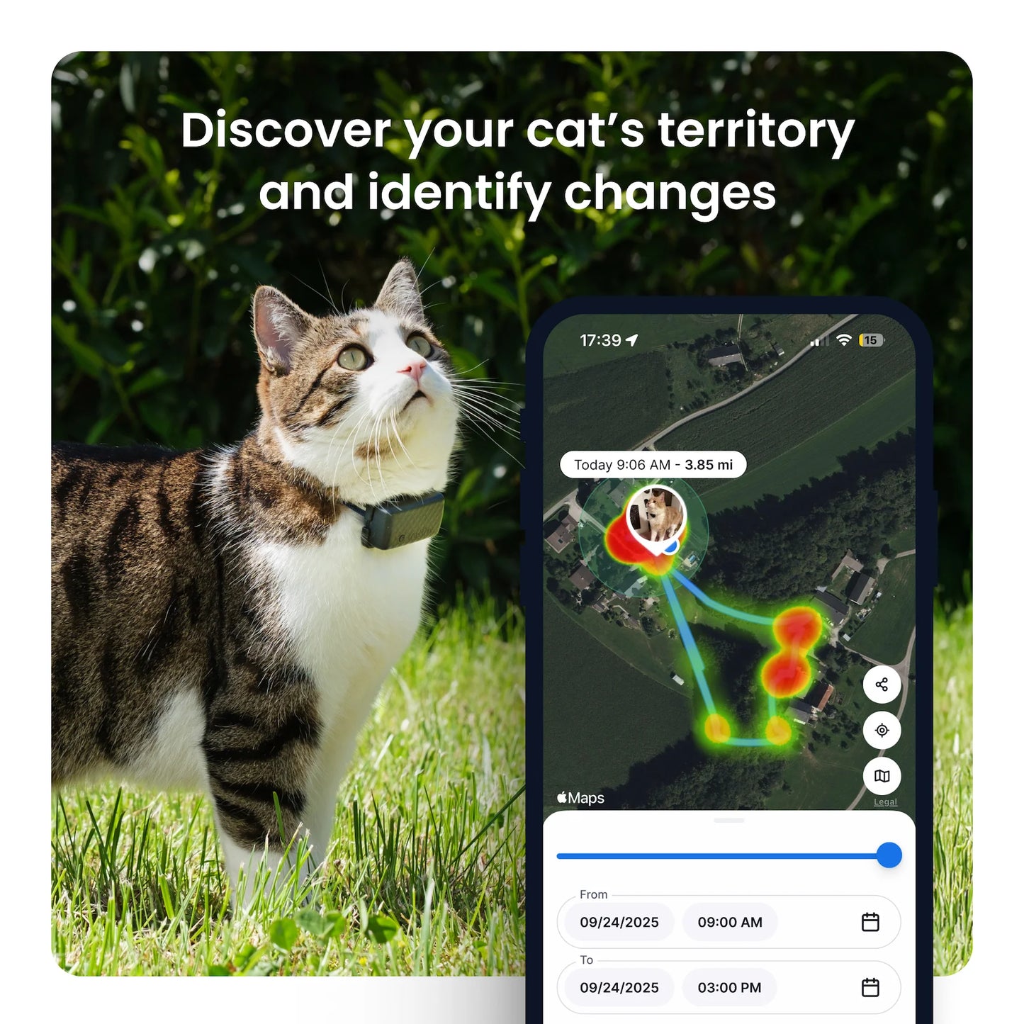Cat Mini GPS Tracker with Activity Monitoring, Fits Any Collar (Dark Blue)