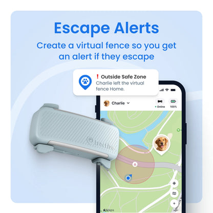 Smart GPS Dog Tracker with Vital Signs Monitoring (Mint)