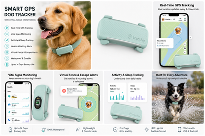 Smart GPS Dog Tracker with Vital Signs Monitoring (Mint)