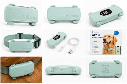 Smart GPS Dog Tracker with Vital Signs Monitoring (Mint)