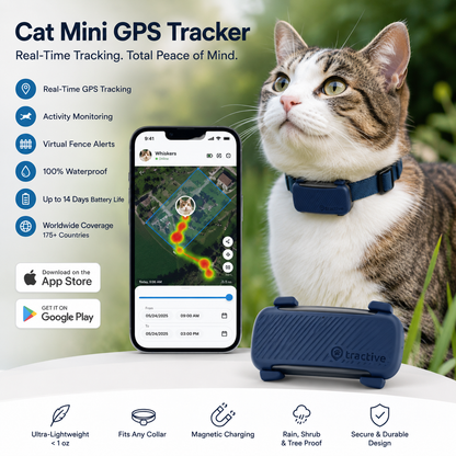 Cat Mini GPS Tracker with Activity Monitoring (Dark Blue)