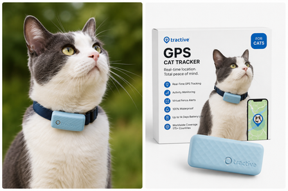 Cat Mini GPS Tracker with Activity Monitoring (Dark Blue)