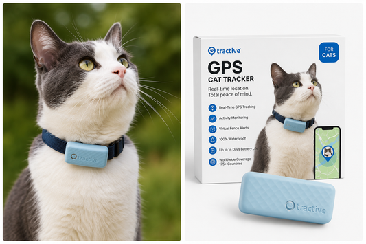 Cat Mini GPS Tracker with Activity Monitoring (Dark Blue)