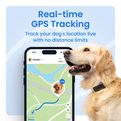 Smart GPS Dog Tracker with Vital Signs Monitoring (Mint)