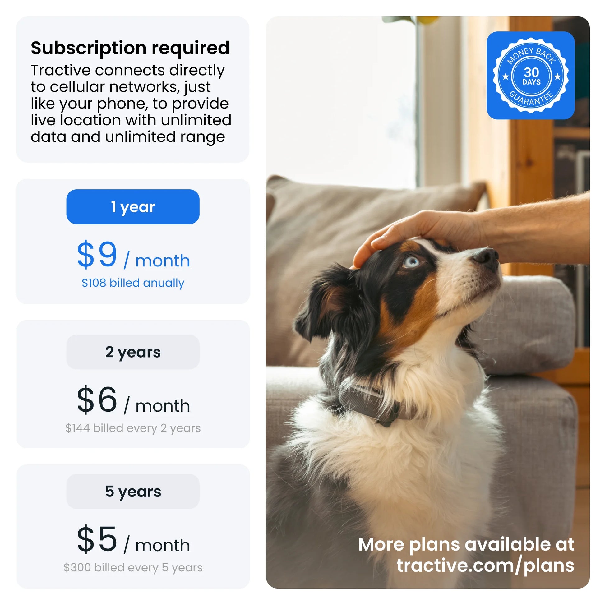 Smart GPS Dog Tracker with Vital Signs Monitoring (Mint)