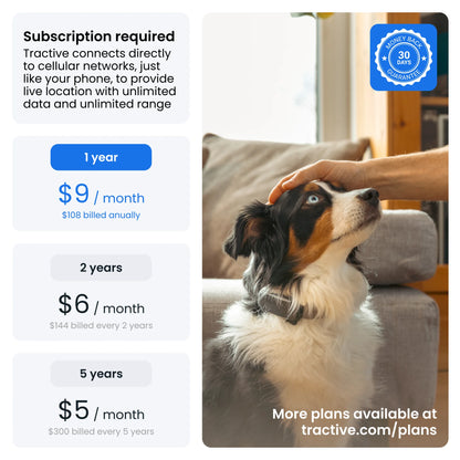 Smart GPS Dog Tracker with Vital Signs Monitoring (Mint)